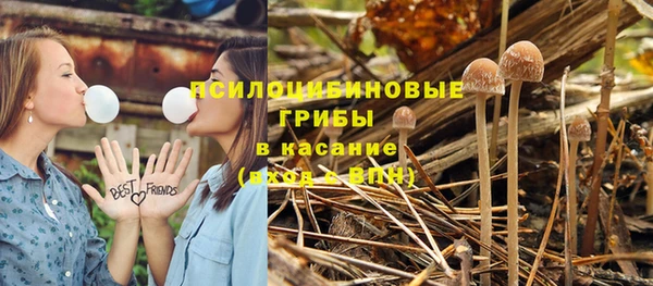 MDMA Снежногорск