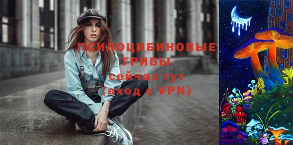 стаф Снежинск