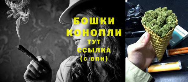 стаф Снежинск