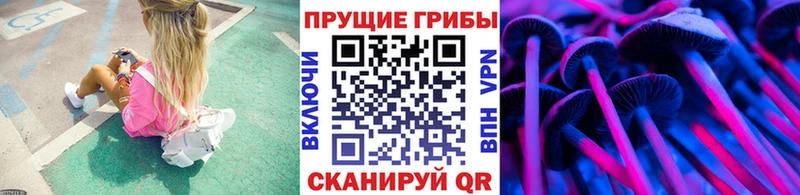 Псилоцибиновые грибы GOLDEN TEACHER  мега   Таруса  сколько стоит 